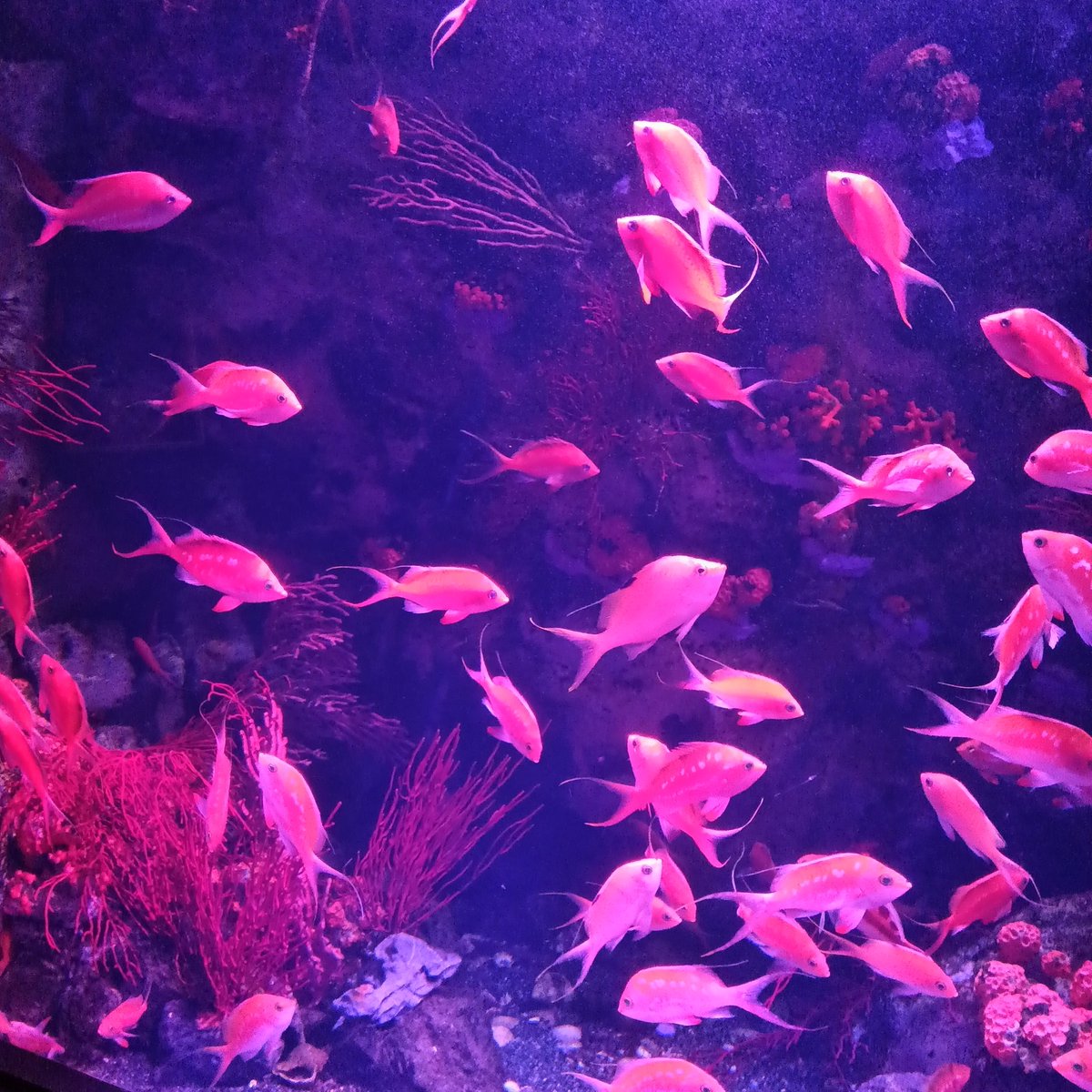 たけ💤 tweet media