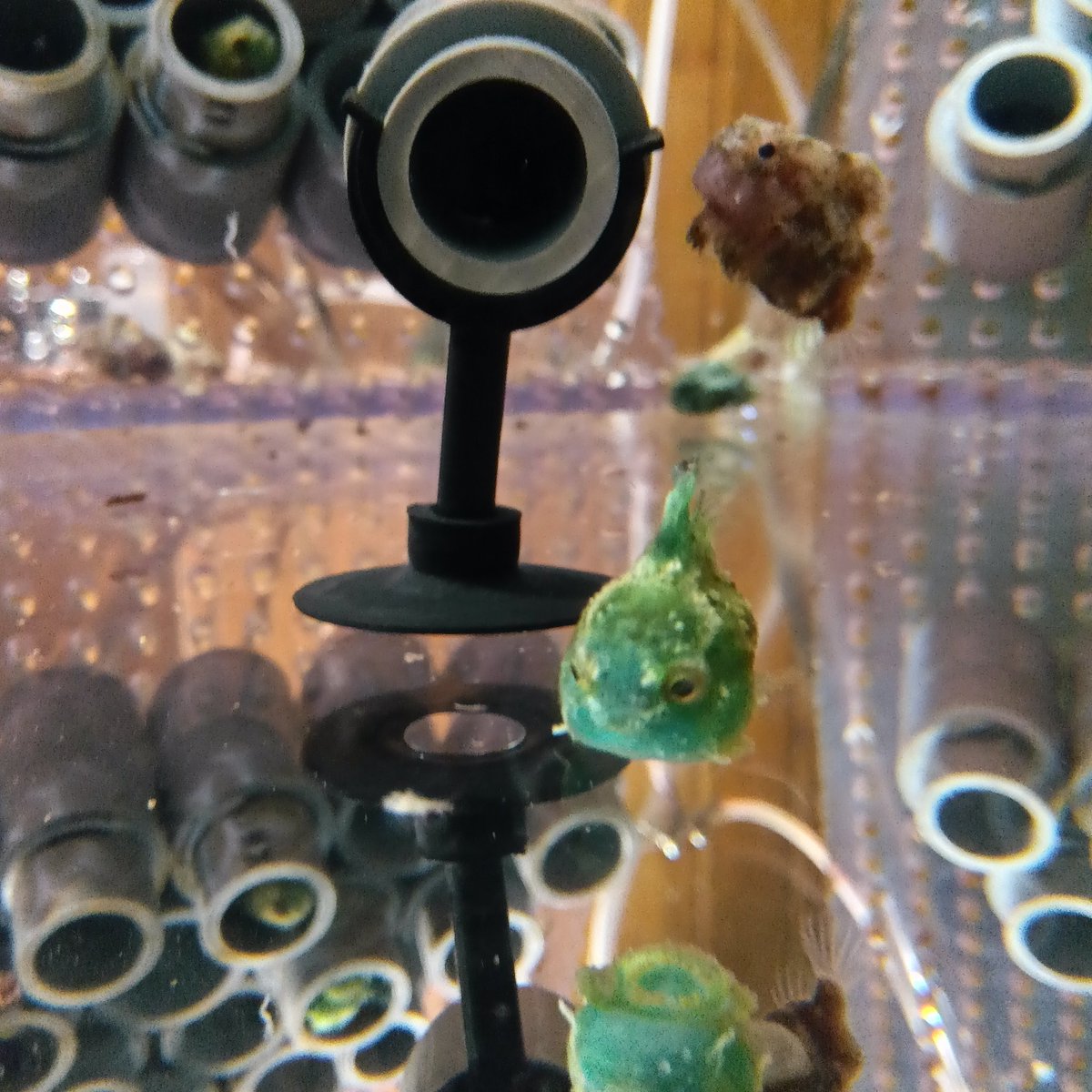 たけ💤 tweet media