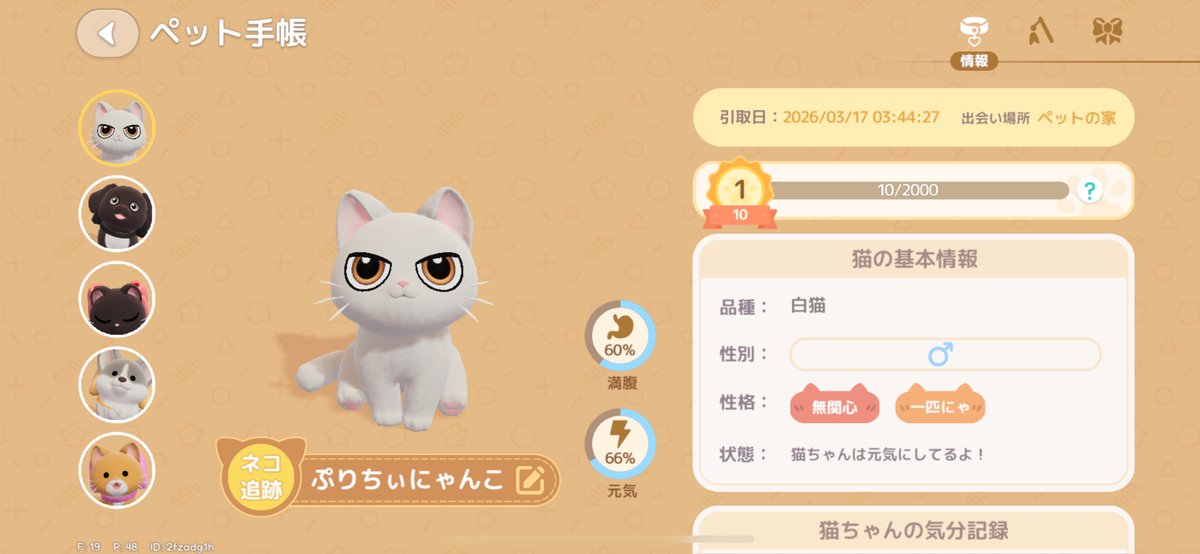 PRETTYPURIN_'s tweet photo. イケネコくんお迎えした🐱💗 https://t.co/604OWhDth4