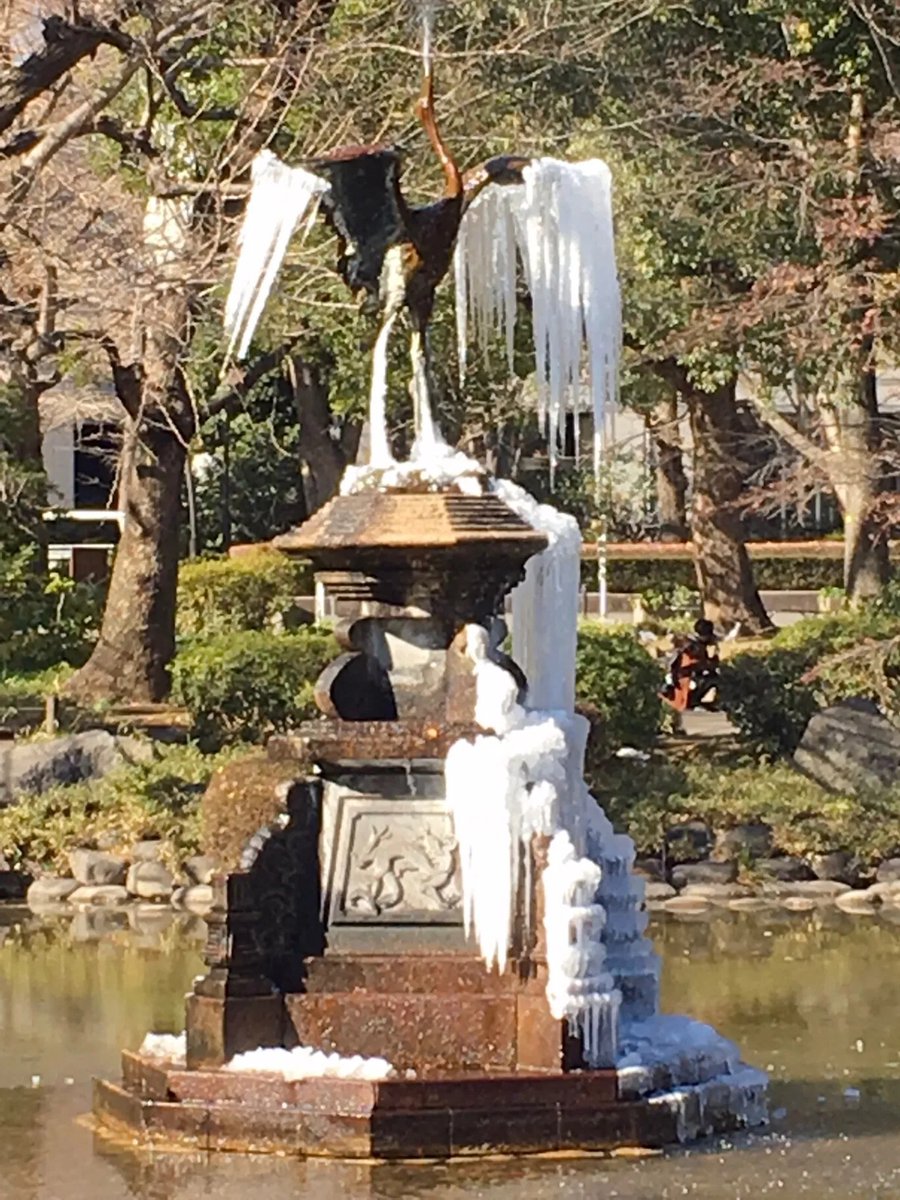 偏愛東京 tweet media