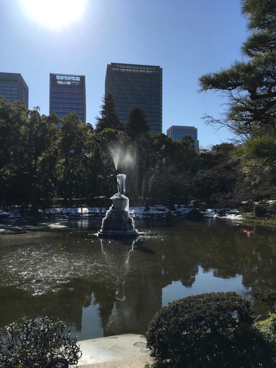 偏愛東京 tweet media