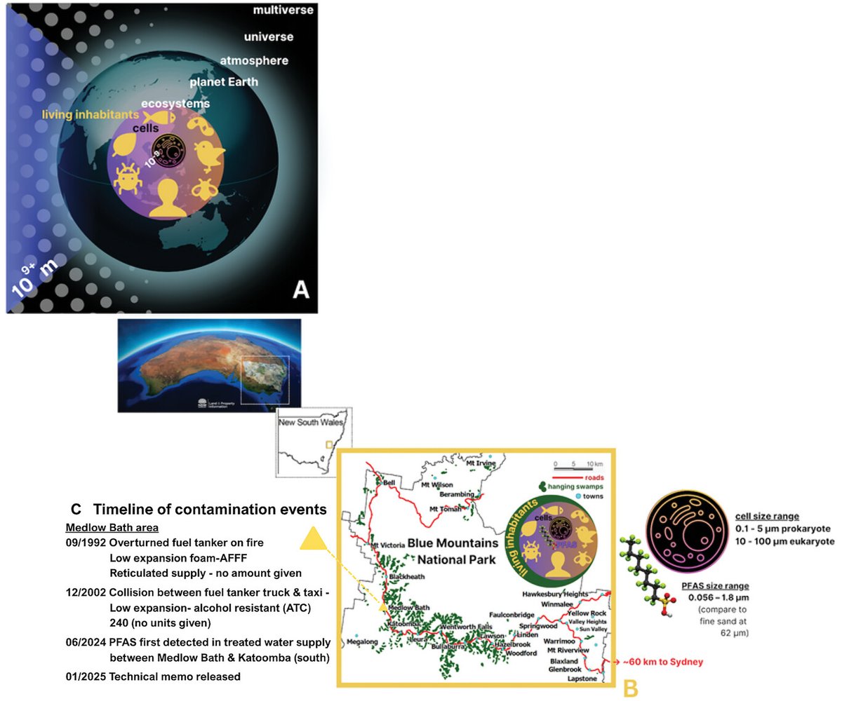Advanced Portfolio News tweet media