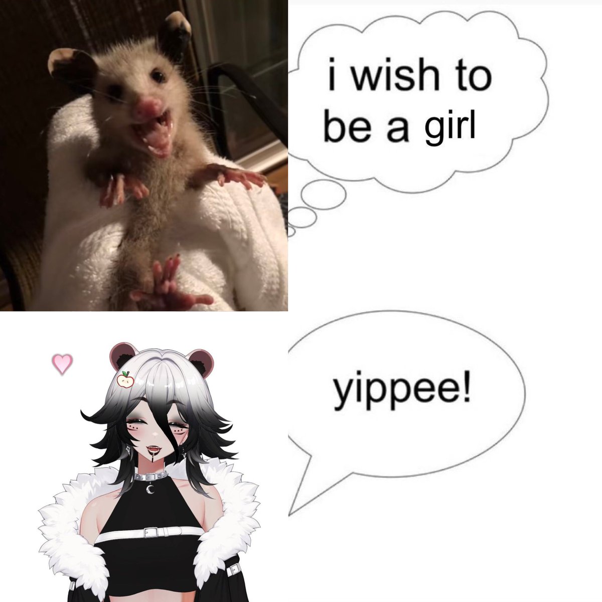 Sakamoto 🐾🔥🍎🔞 tweet media