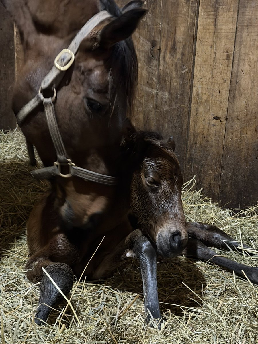 Britt Wadsworth tweet media