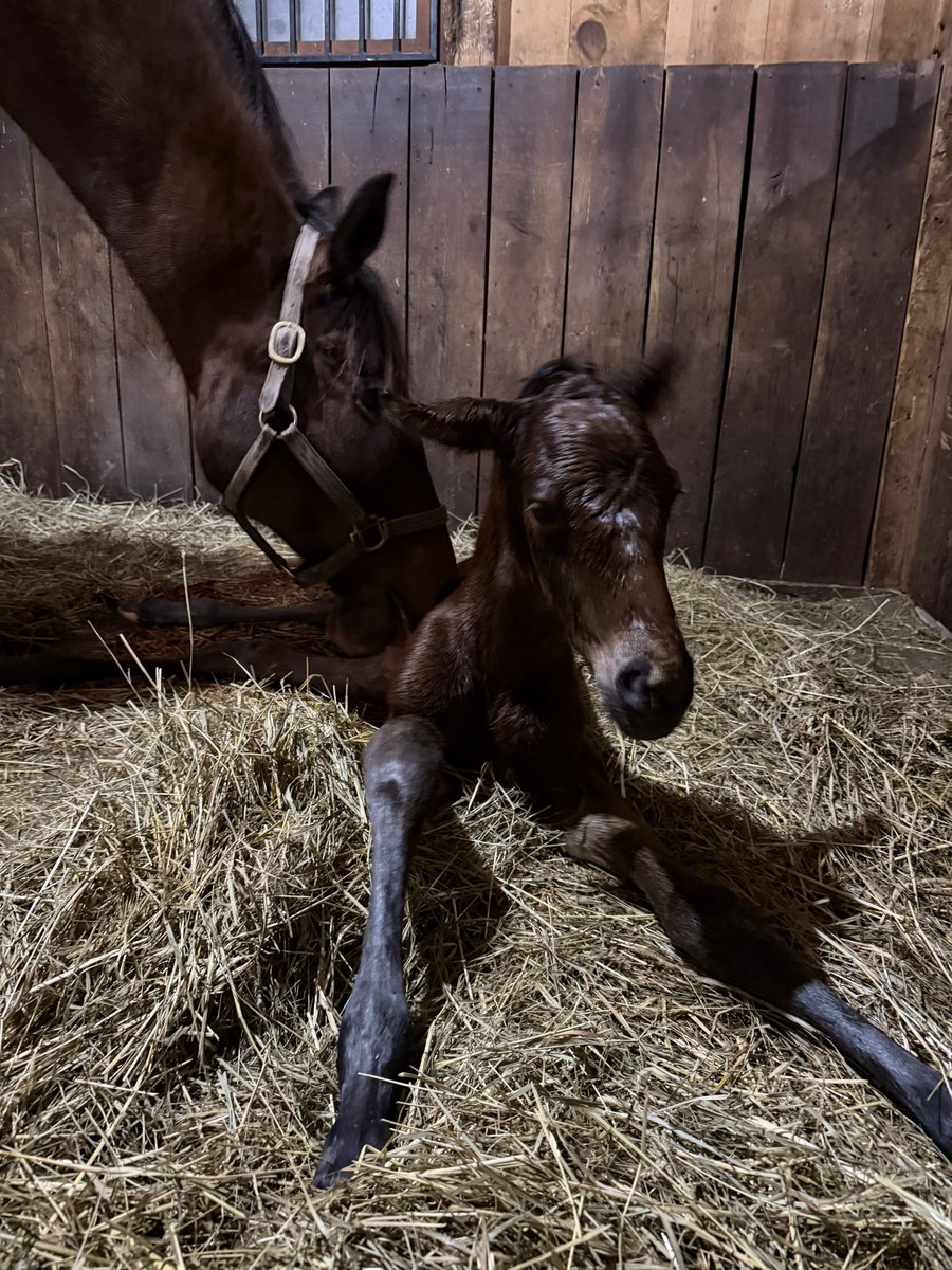 Britt Wadsworth tweet media