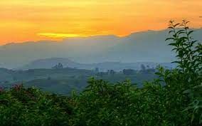 Kibale Forest National Park tweet media