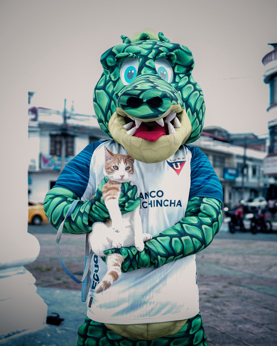 LDU Oficial tweet media