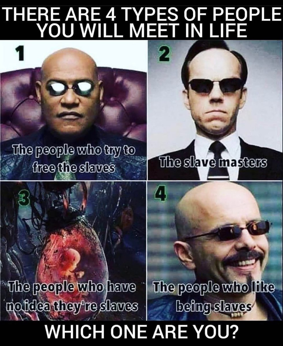 Michael Kim tweet media