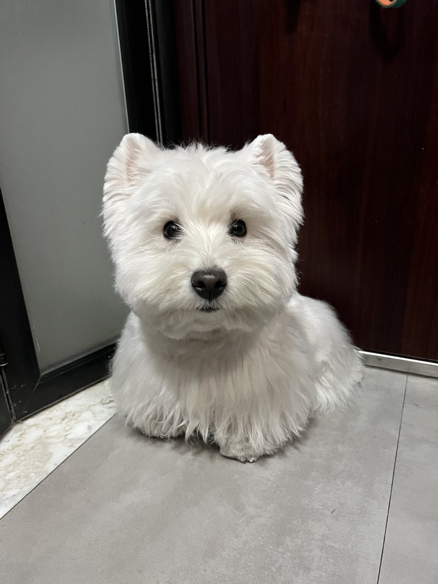 Alex King tweet media