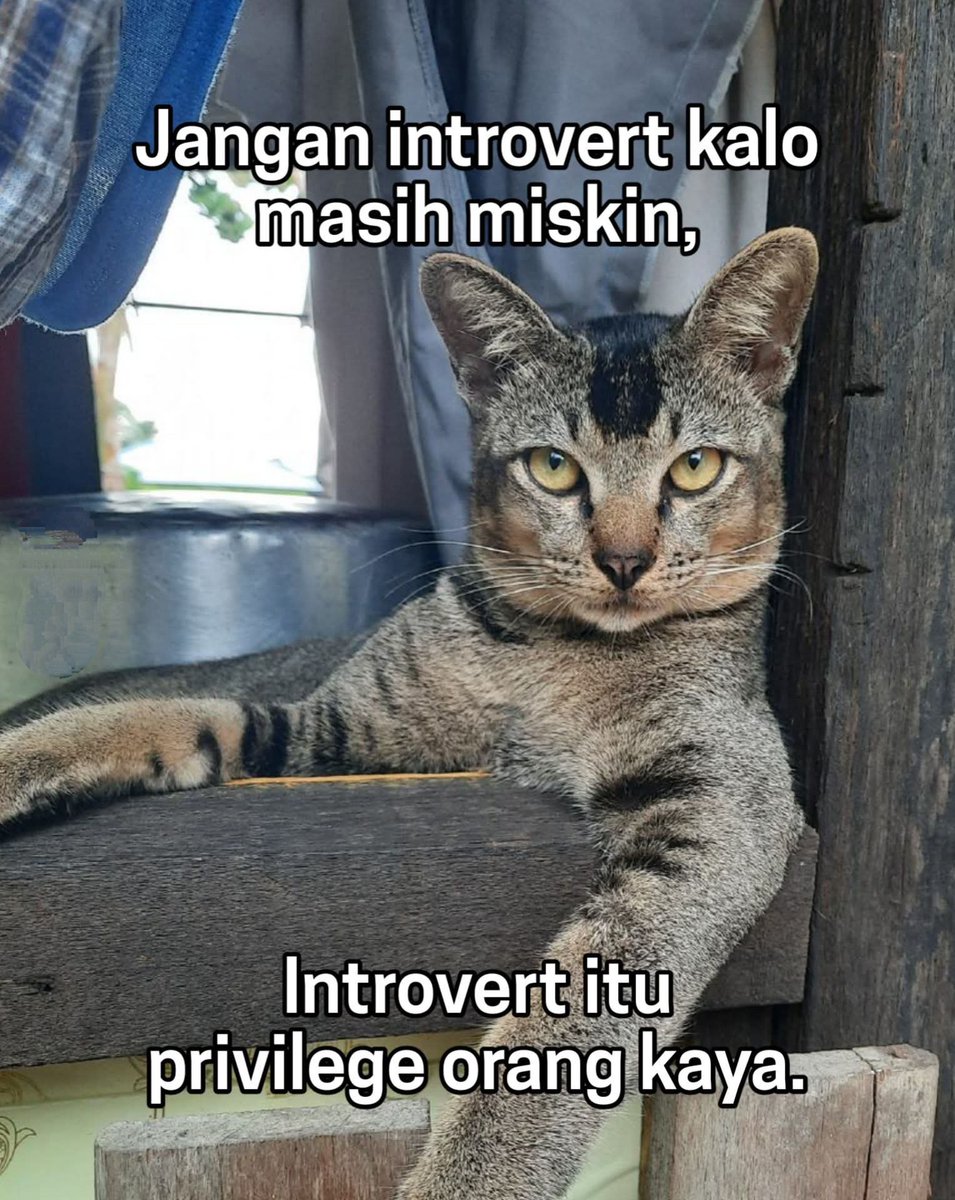 Ndryyyyy SparkChain.AI (Ø,G) (@ndryyyyy1) on Twitter photo 