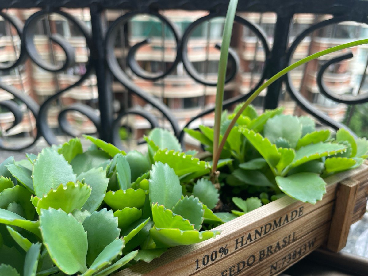 Jen Riznyk tweet media