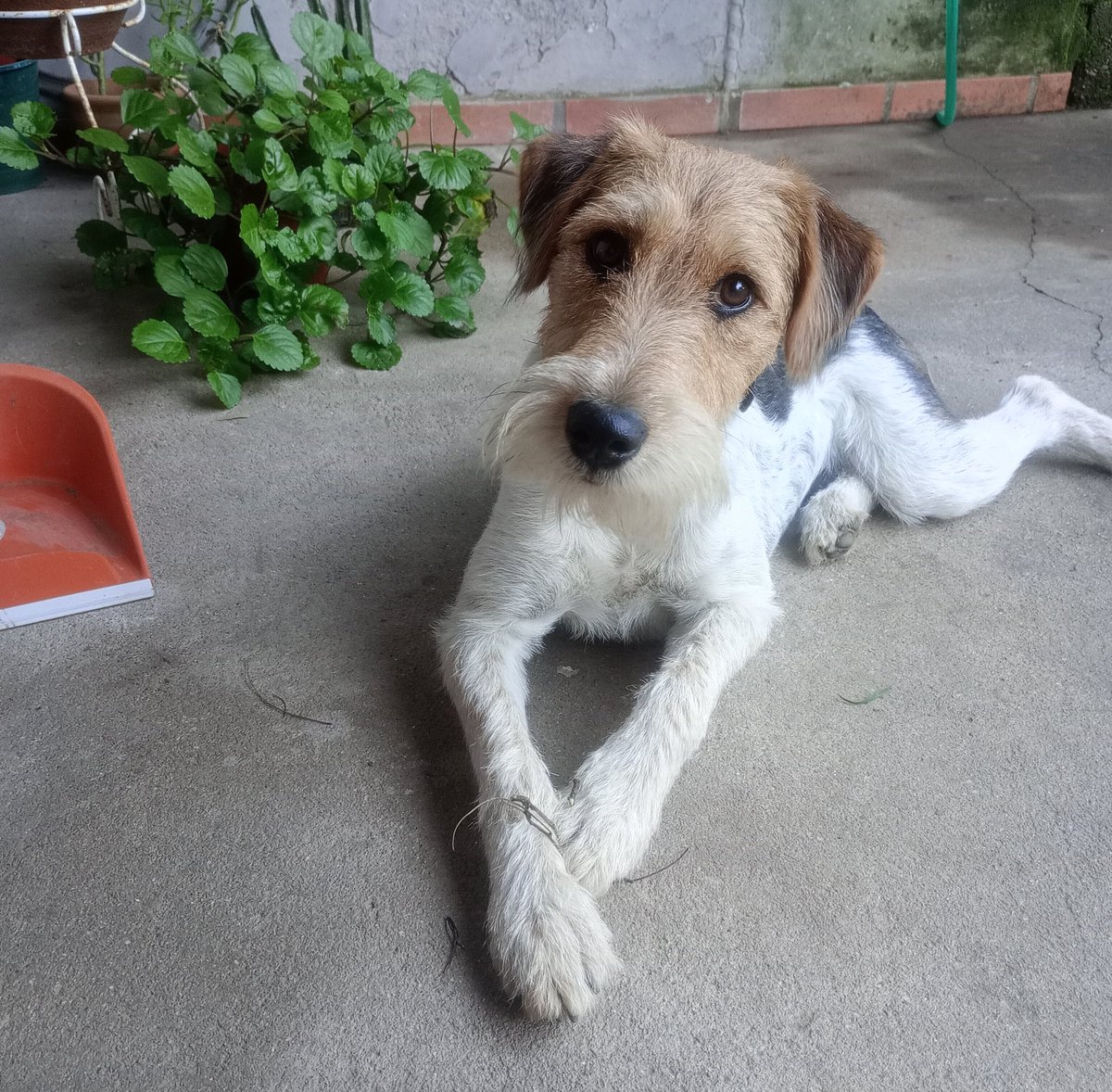 Mariaa_peralta's tweet photo. Momentos simples, pero llenos de amor junto a mi gorda favorita 🐾✨ https://t.co/cGgbCt6aaw