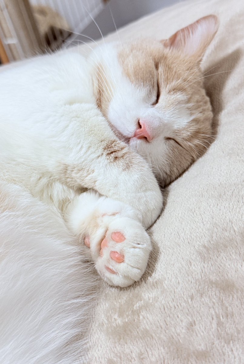 👻mtk👻 tweet media