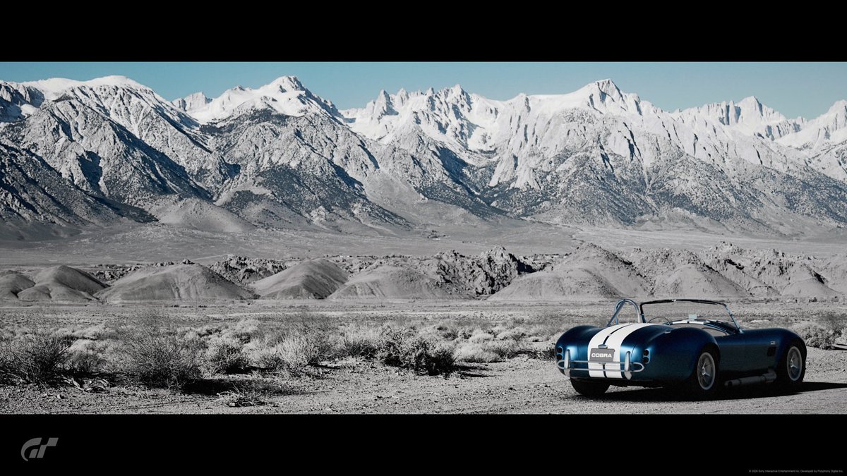 hal（Lv.54） tweet media