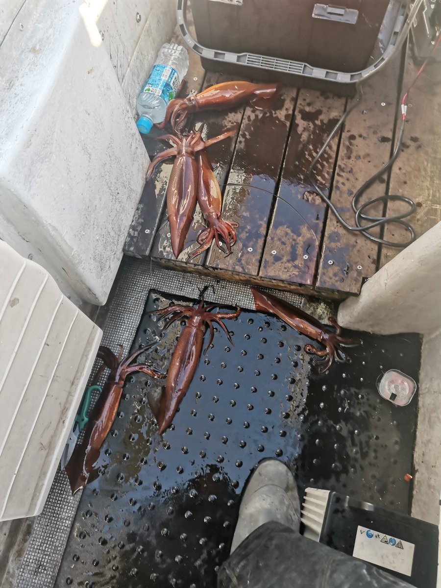 つだ_21style tweet media