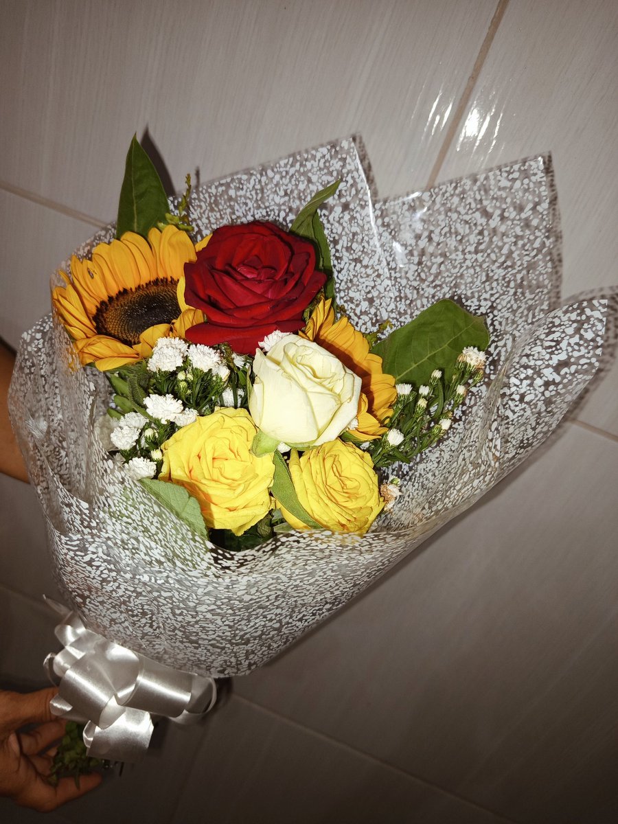 pinscher raivoso tweet media