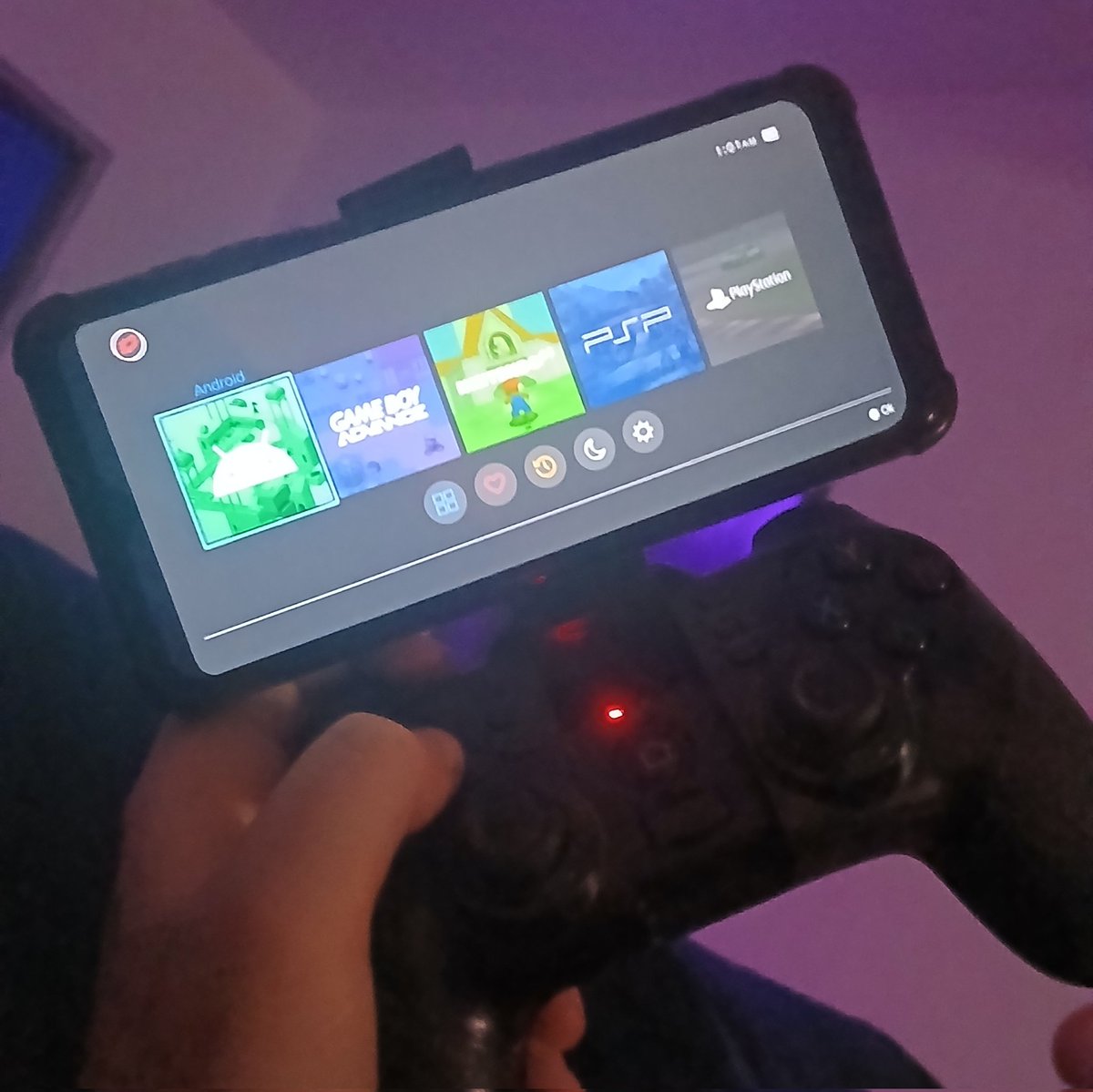 Uma Haru Low Profile tweet media