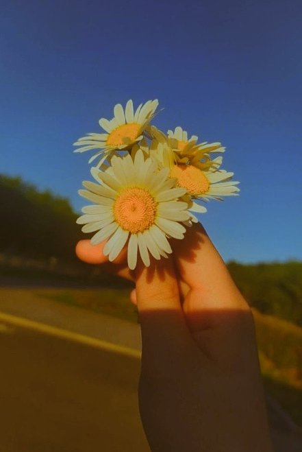 𝐊𝐌 𝐏ɽ𝐢𝐘ɑɳʞɑ tweet media