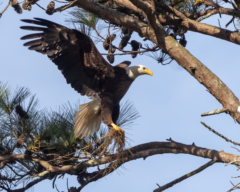 Ruby 🇺🇸 tweet media