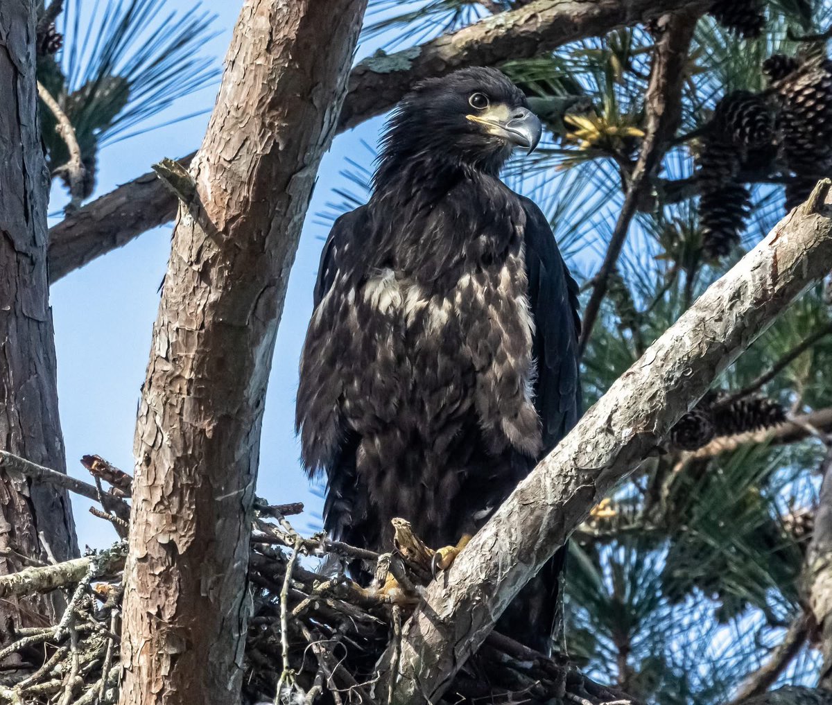 Ruby 🇺🇸 tweet media