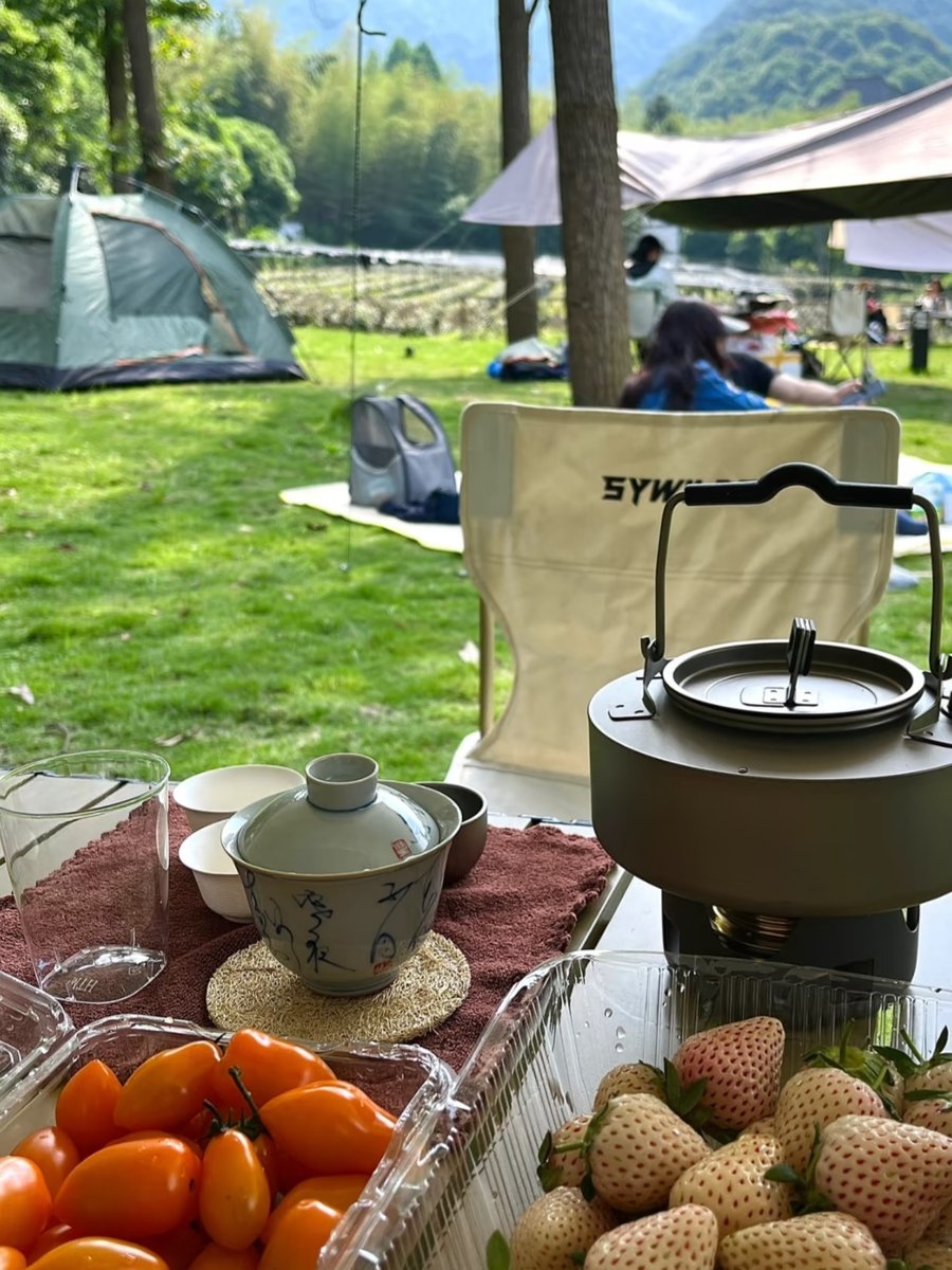 del vento tweet media