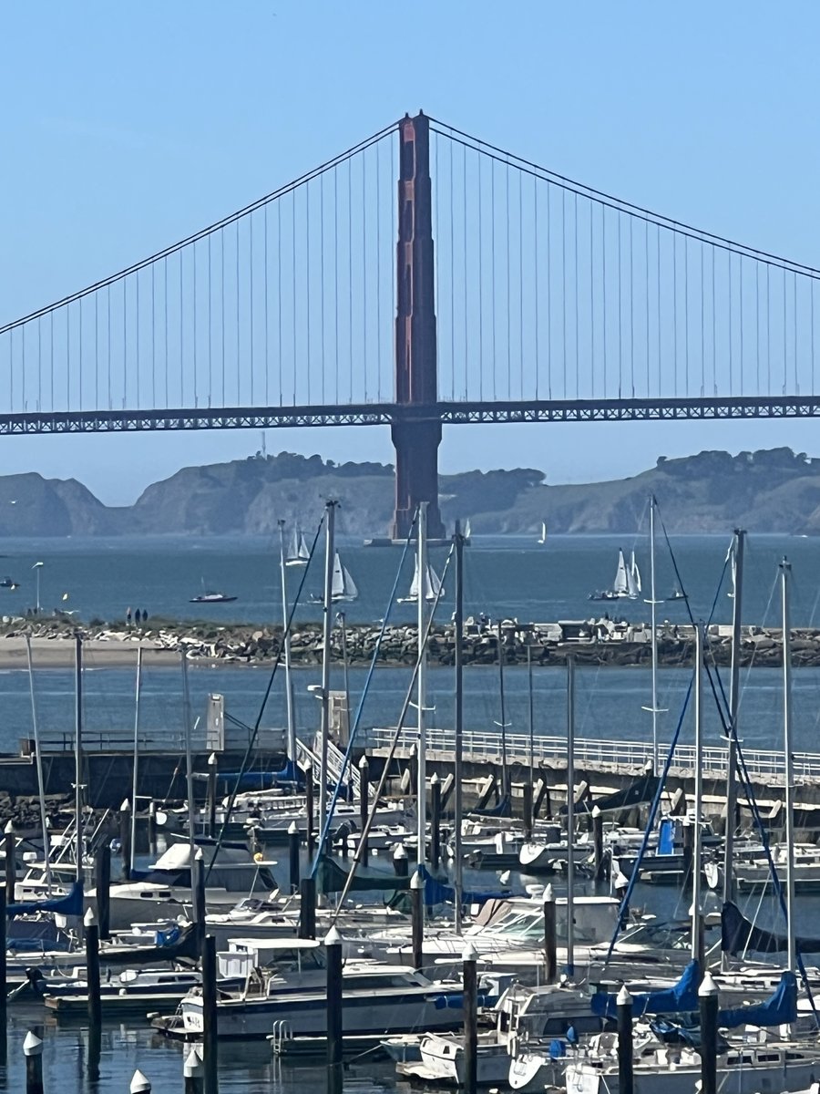 PICO Developer tweet media