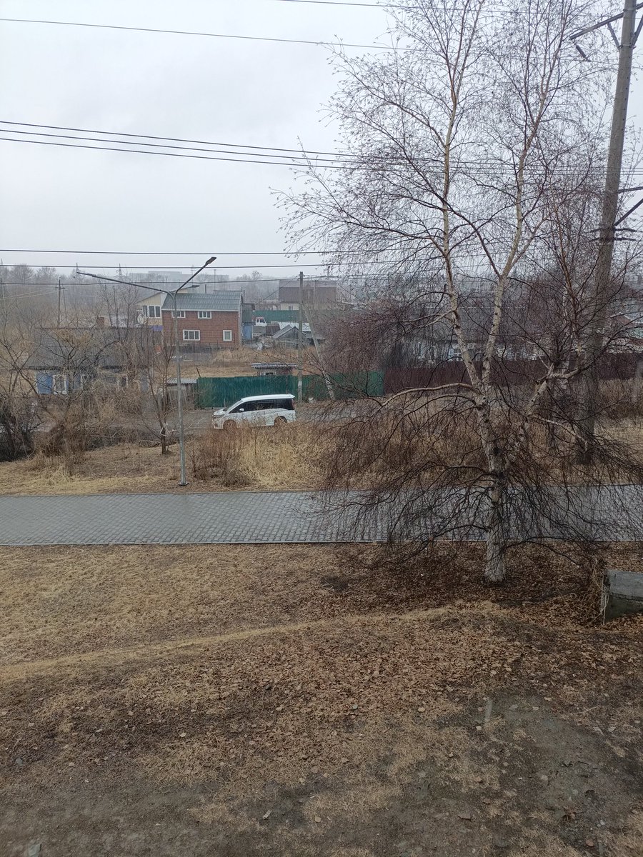 Бхактибуханта Свами Доупада tweet media