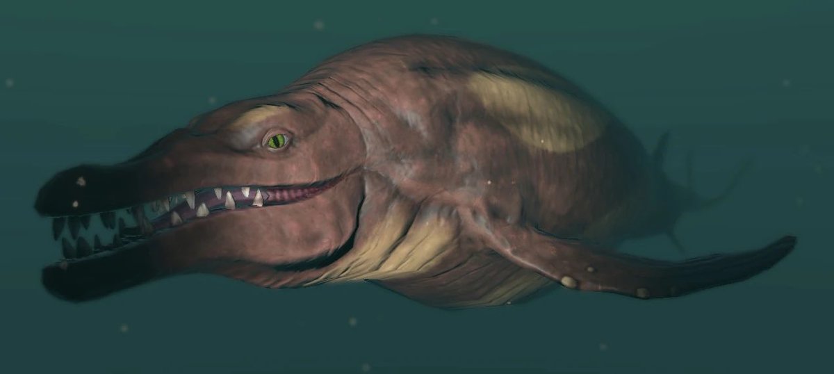 💞💿🐣Professor Benma, CEO of Rosalina & Blizzaria tweet media