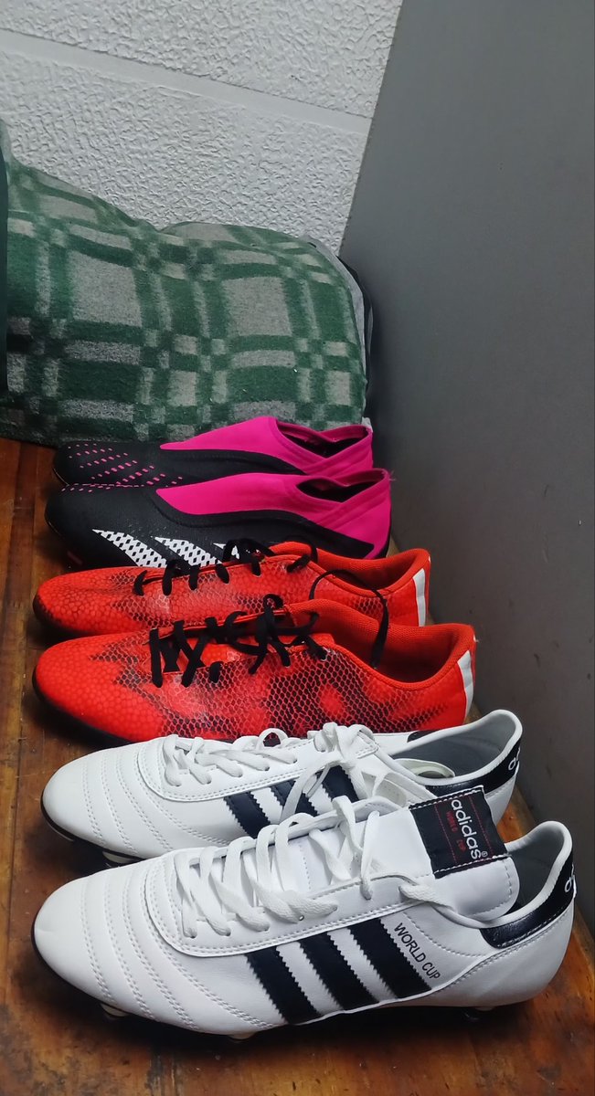 AlfredMichiCamargo tweet media