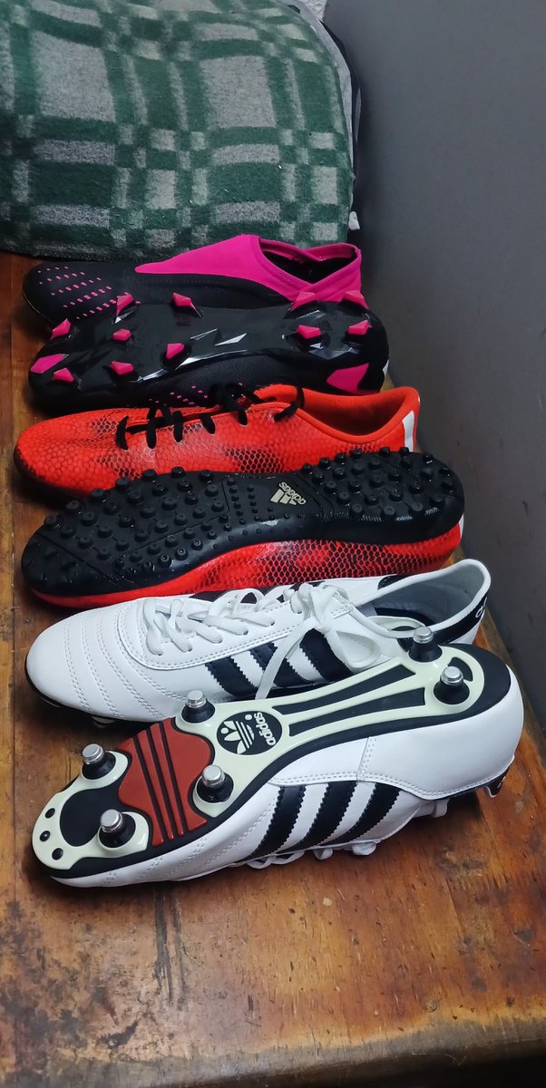 AlfredMichiCamargo tweet media