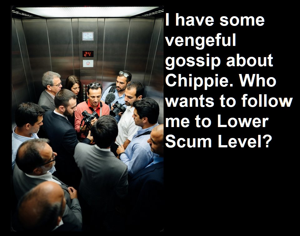 Skip McCabe tweet media