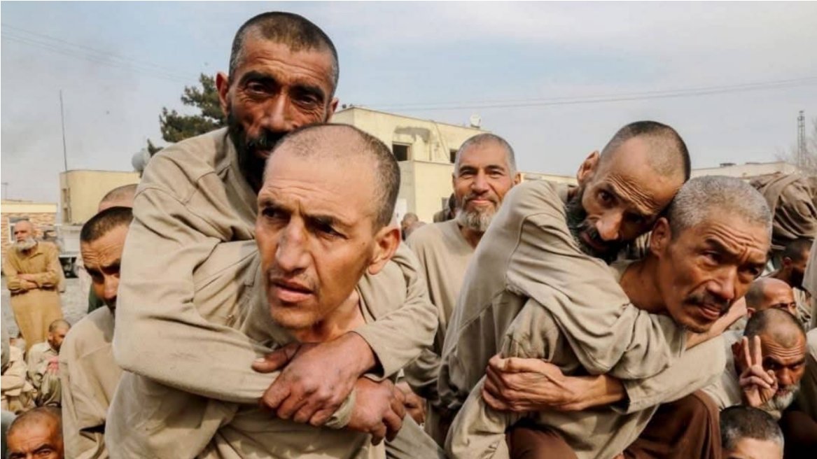 همام خان tweet media