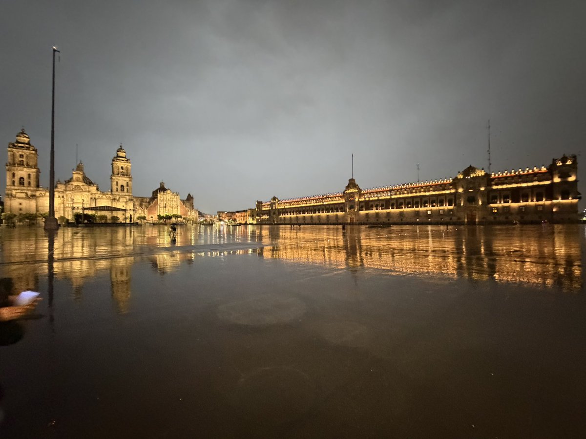 Pedro Gómez Castillo. tweet media