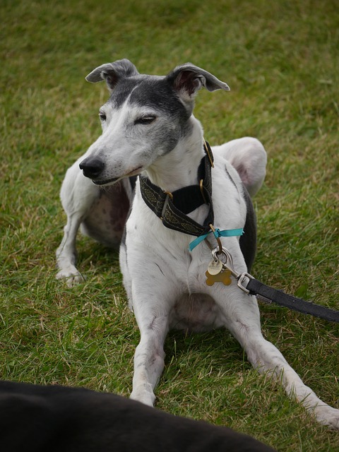 Heather Montano tweet media