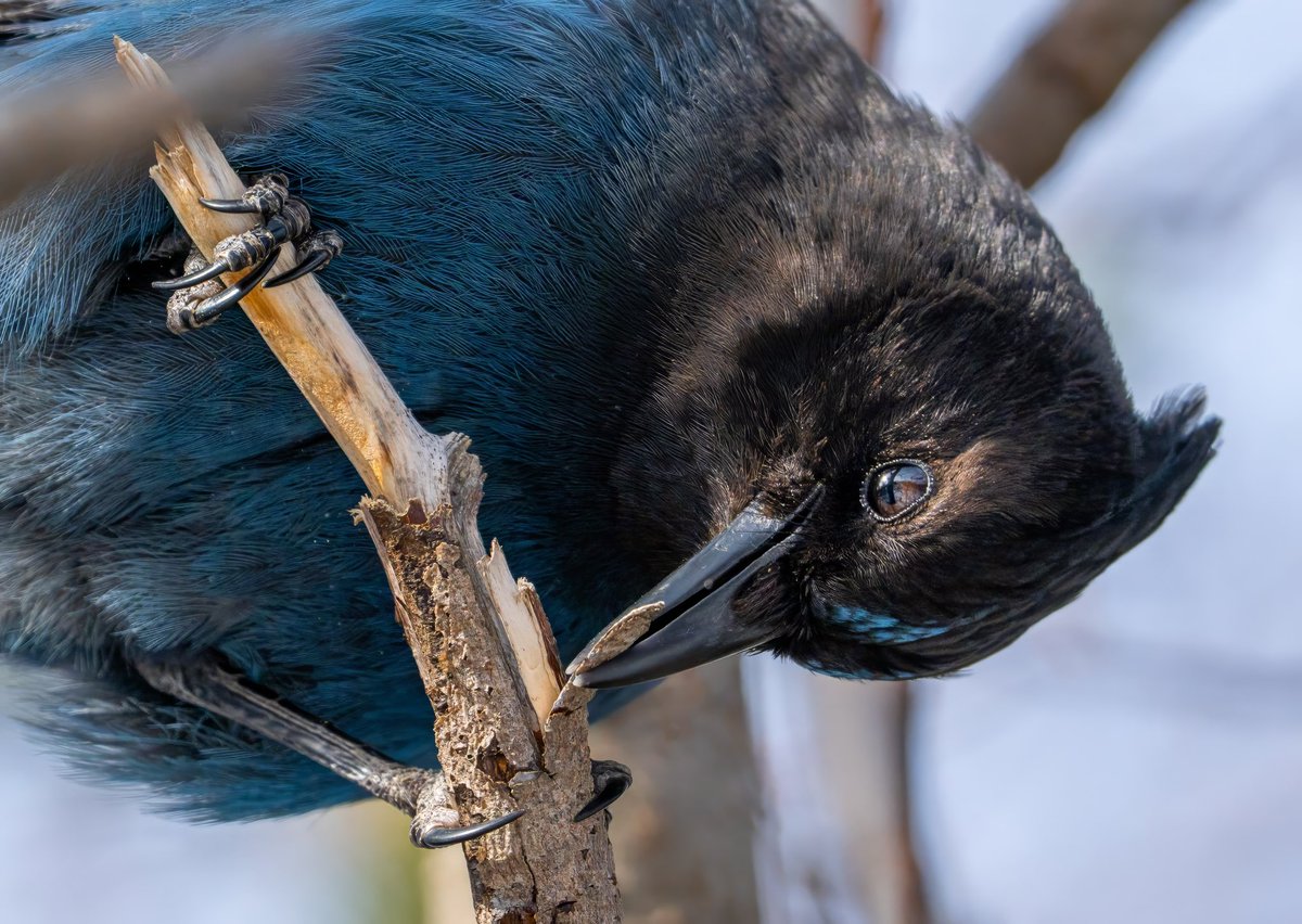 digitalARK 🌋 tweet media