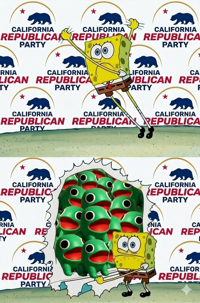 Skyway Groyper tweet media