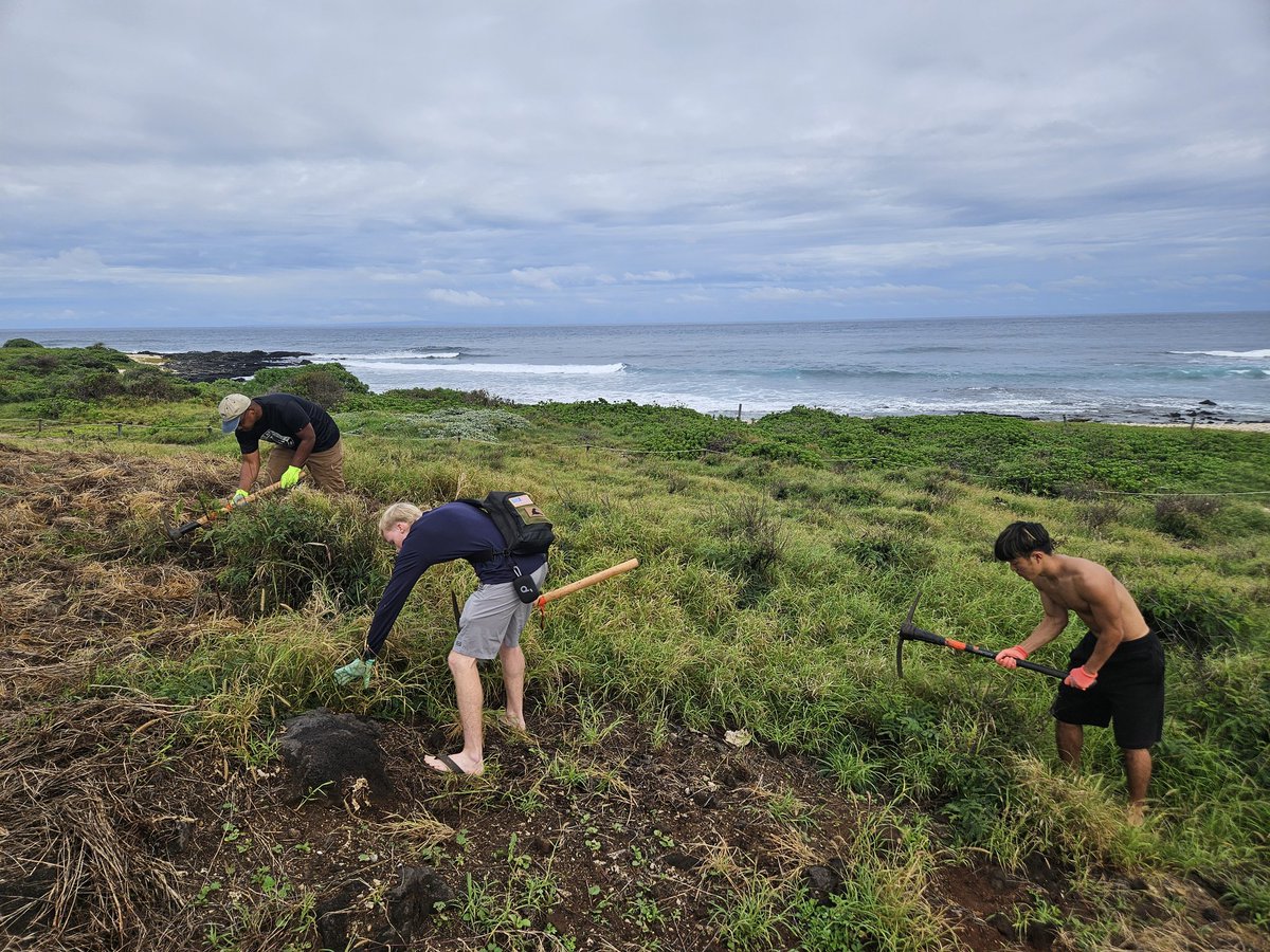 808cleanups tweet media