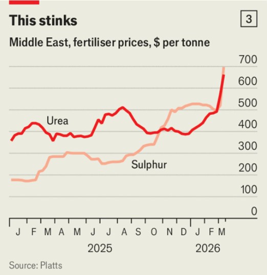 Juan Real Street tweet media