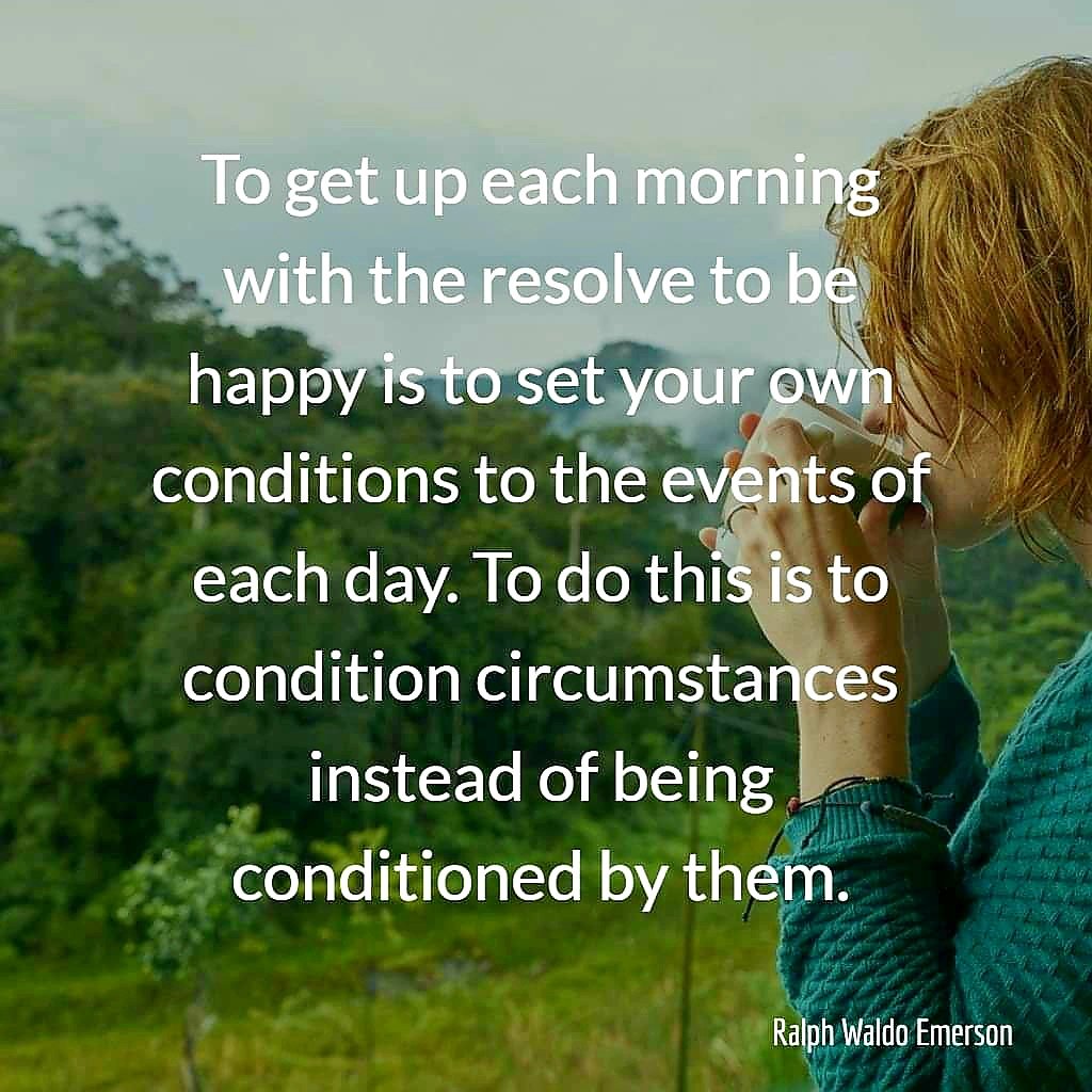 Iris Donell tweet media