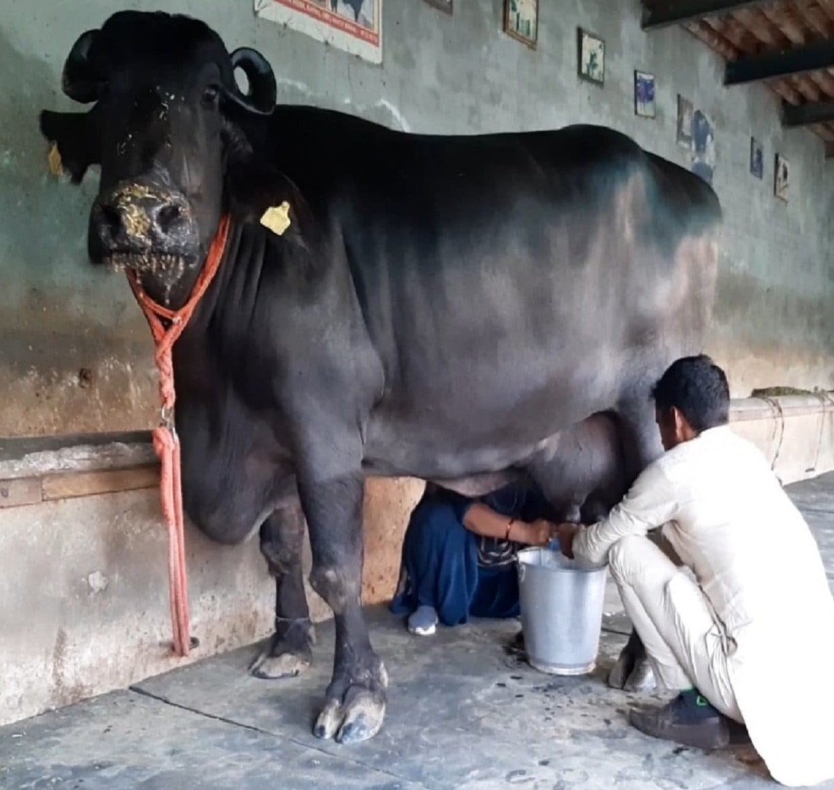 Vipendra Kumar tweet media