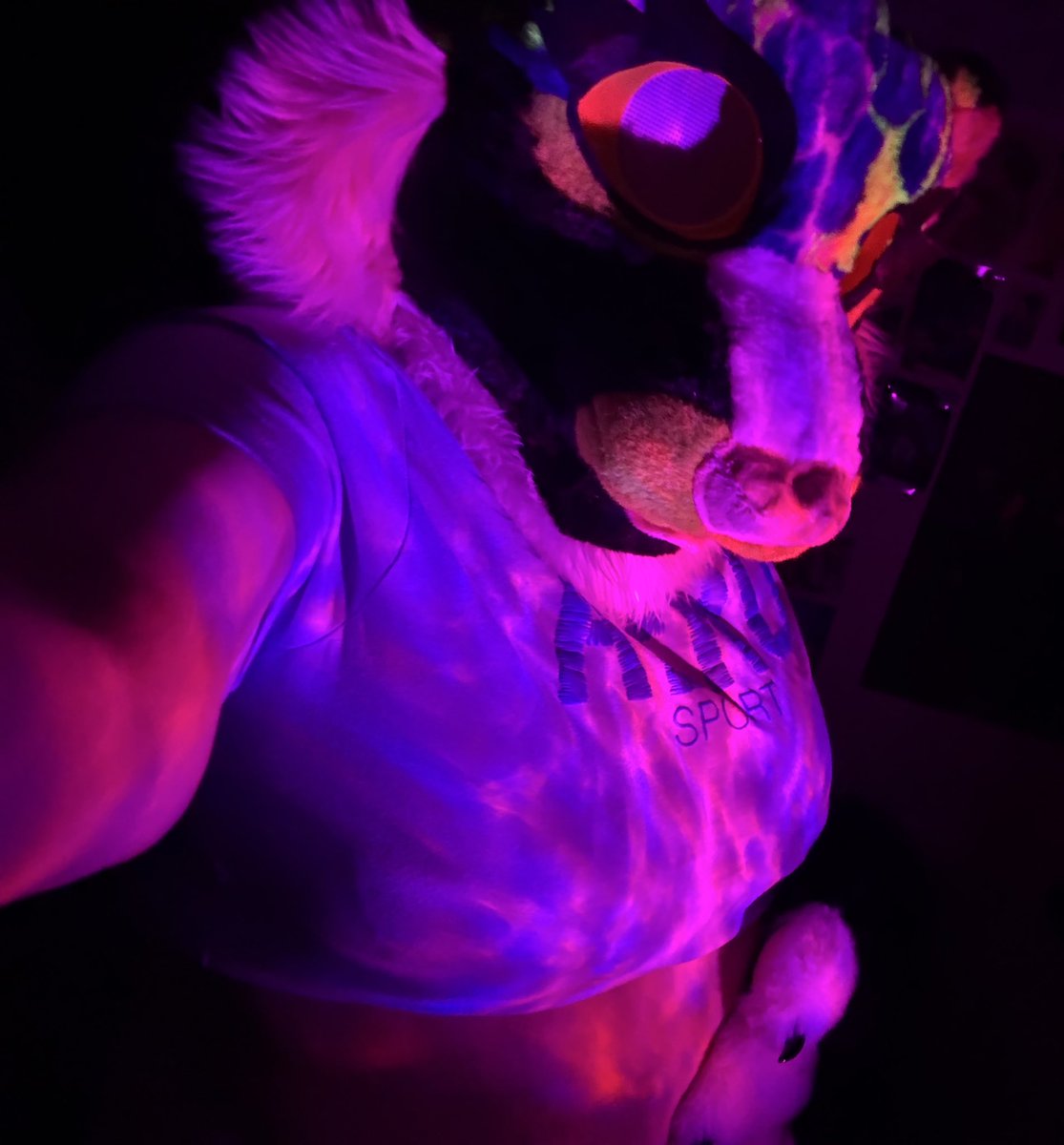 Lumi 🐾🔞 tweet media