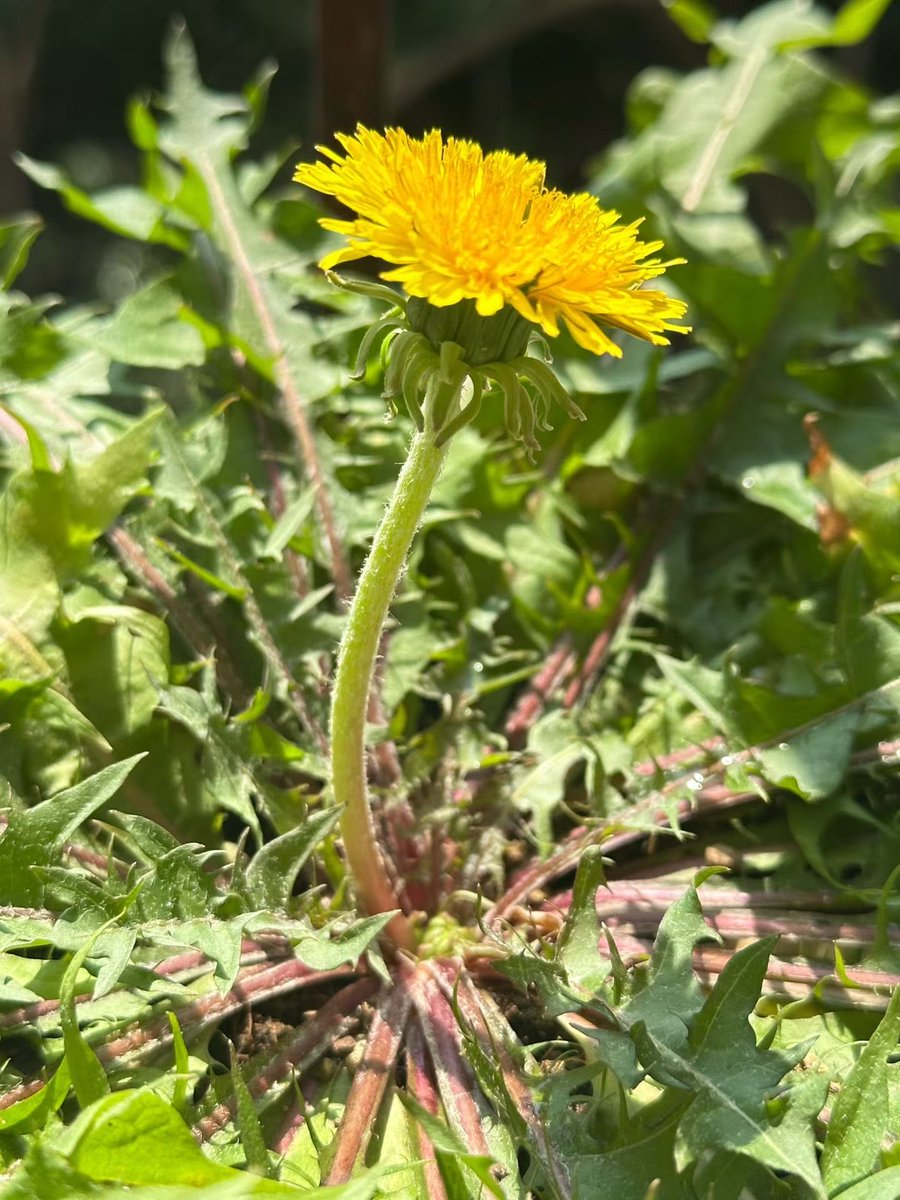 @奔波而霸 tweet media