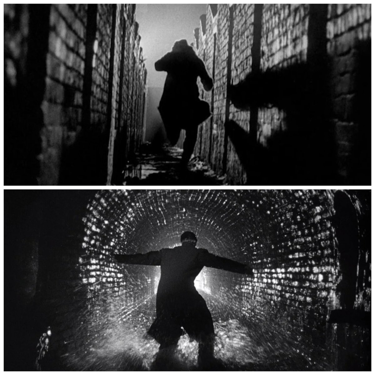 CinemaGrids tweet media