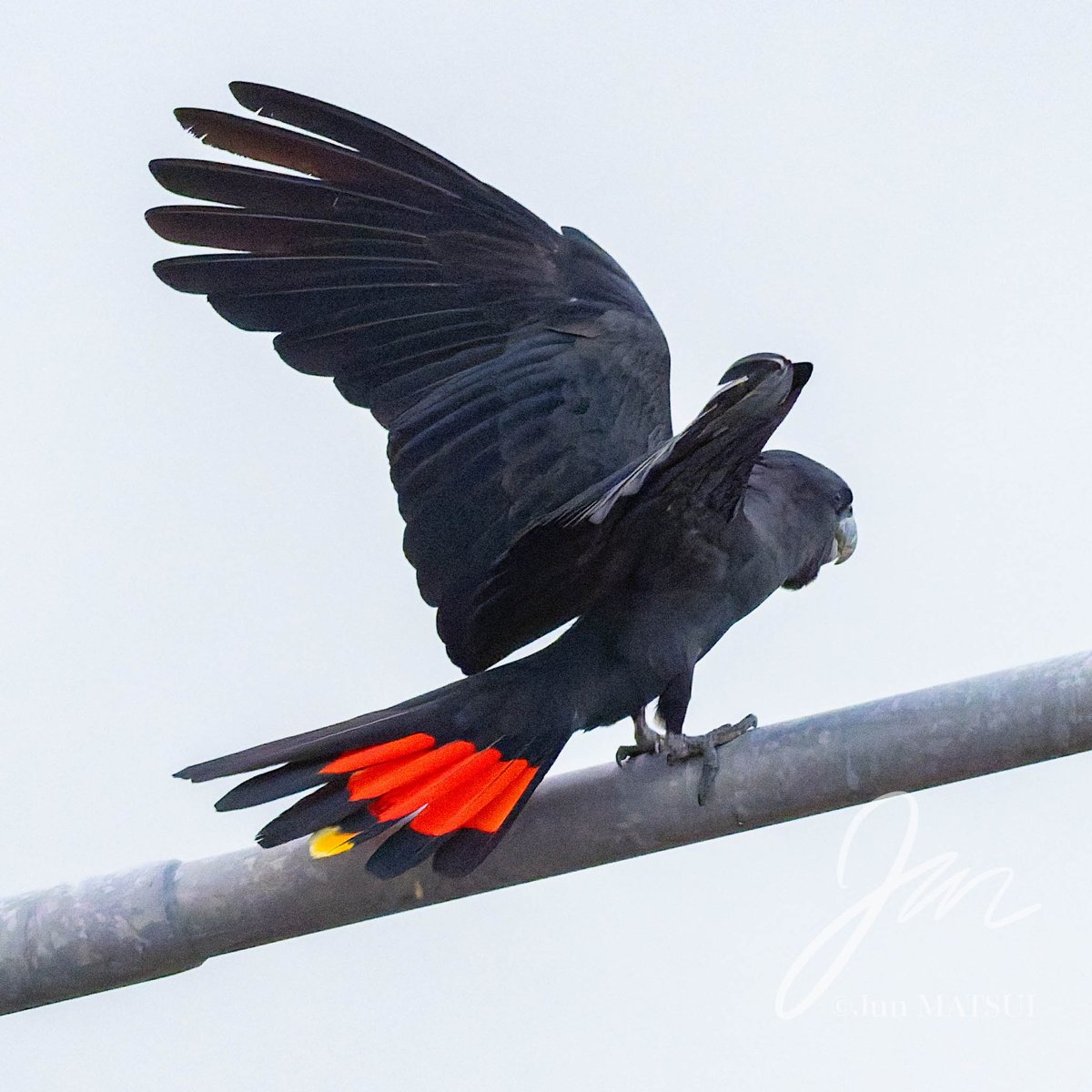 Jun MATSUI tweet media