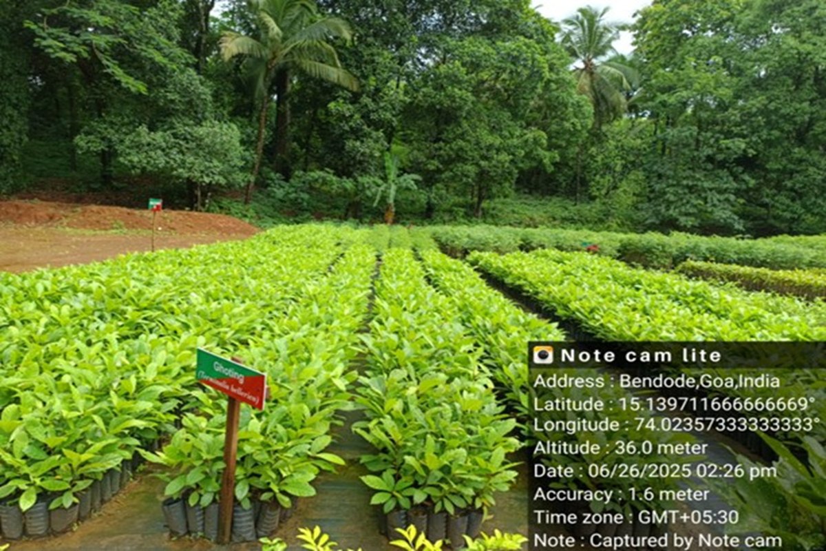 National Authority, CAMPA, MoEF&CC, GoI tweet media