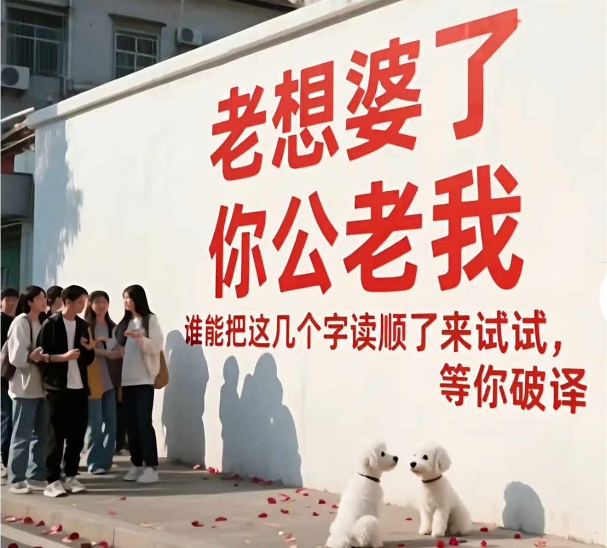 蒹葭（互fo🇨🇳必回💞） tweet media