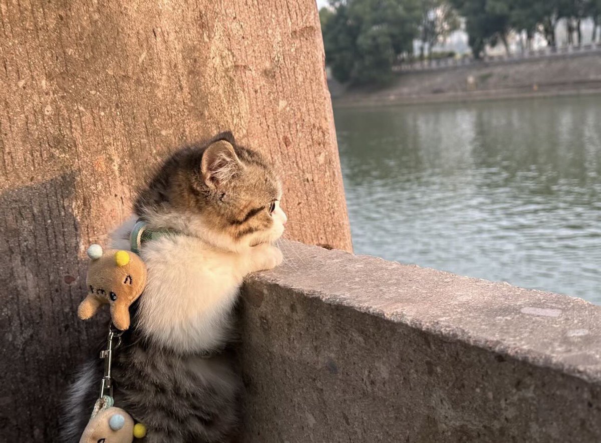 용천혈 tweet media