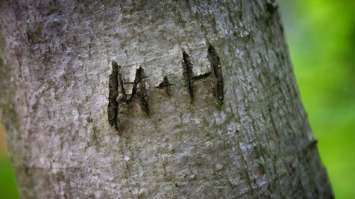 Ninnay ? vió a stray kids 🫐 tweet media