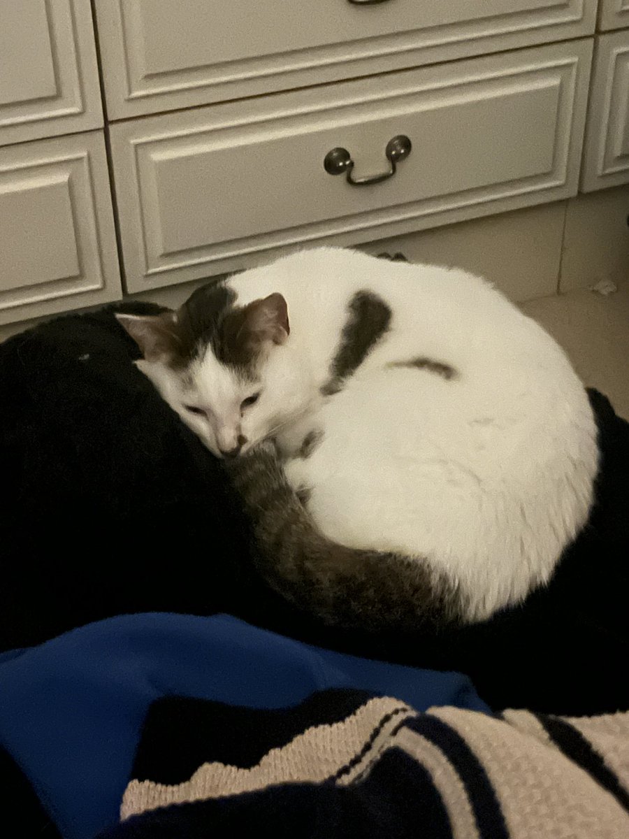 🩷 Hanni 🖤 tweet media