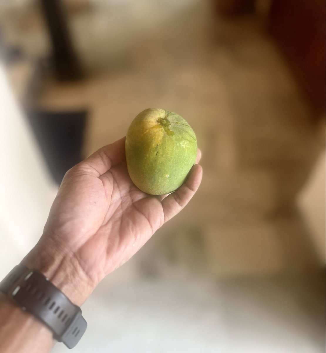 NitinNaik5's tweet image. Finally our tree is flowering #Goa #mango